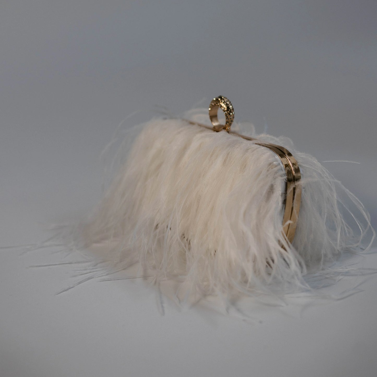 Ostrich Feather Clutch